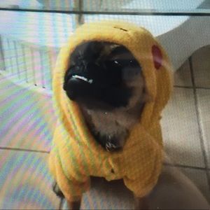 Meet your Posher, Anthony